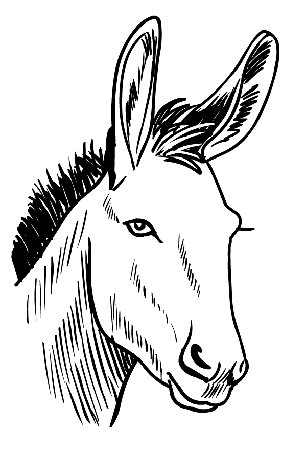 Desenho de burros para impresso e colorir