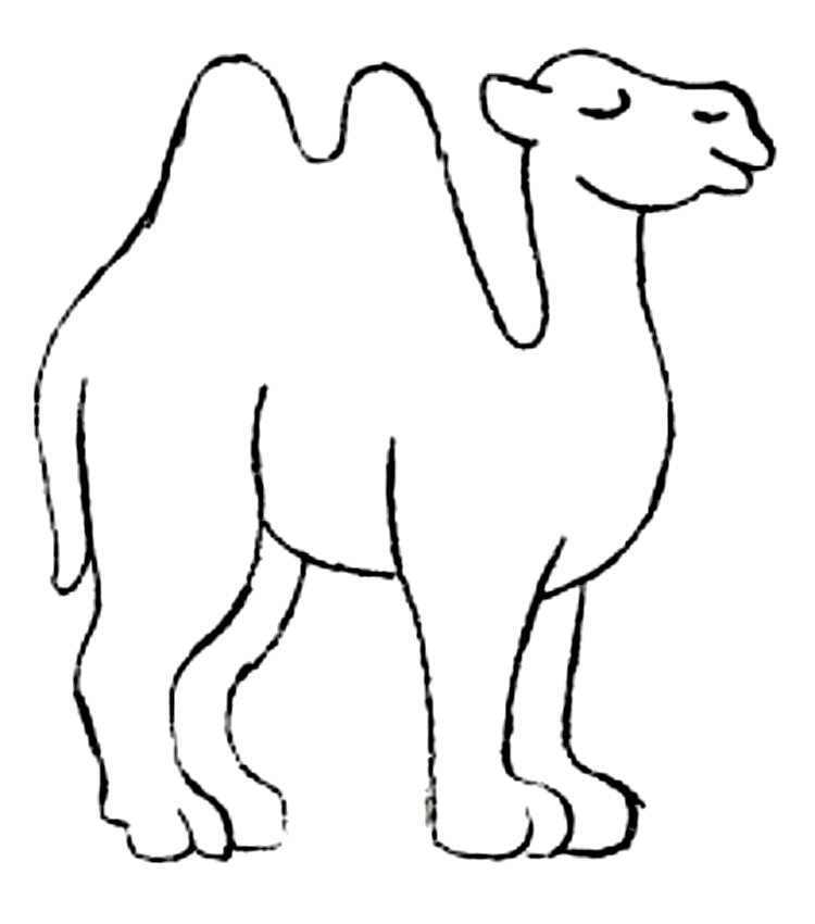 Desenho de camelos para impresso e colorir