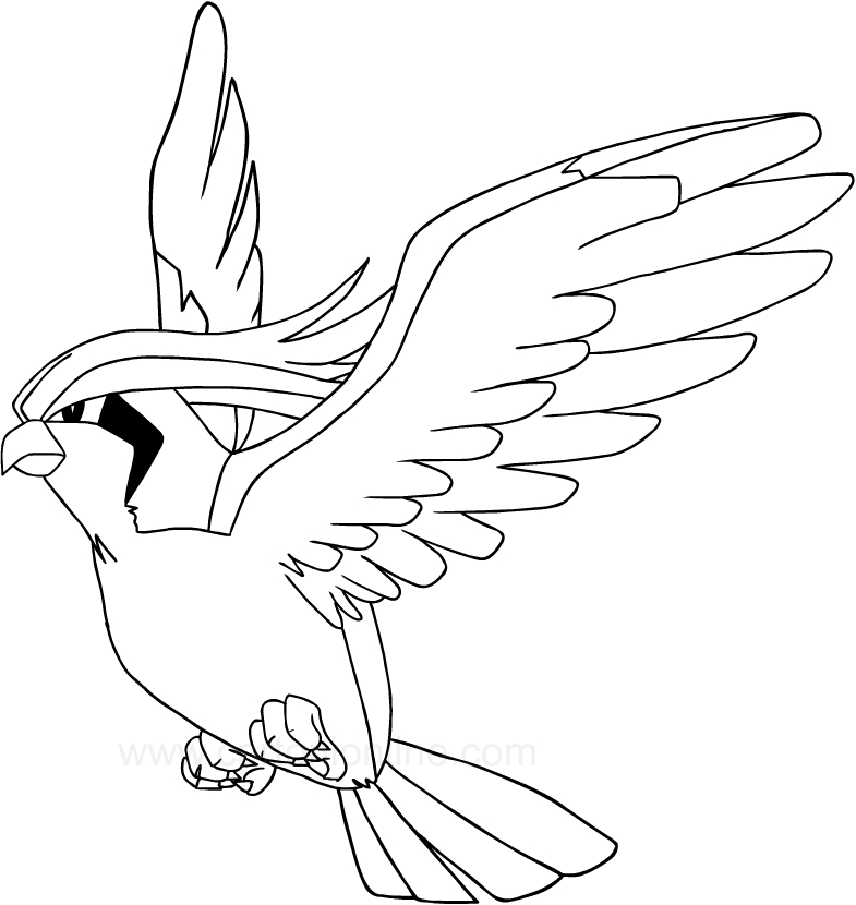 Desenho de Pidgeotto dos Pokemon para impresso e colorir