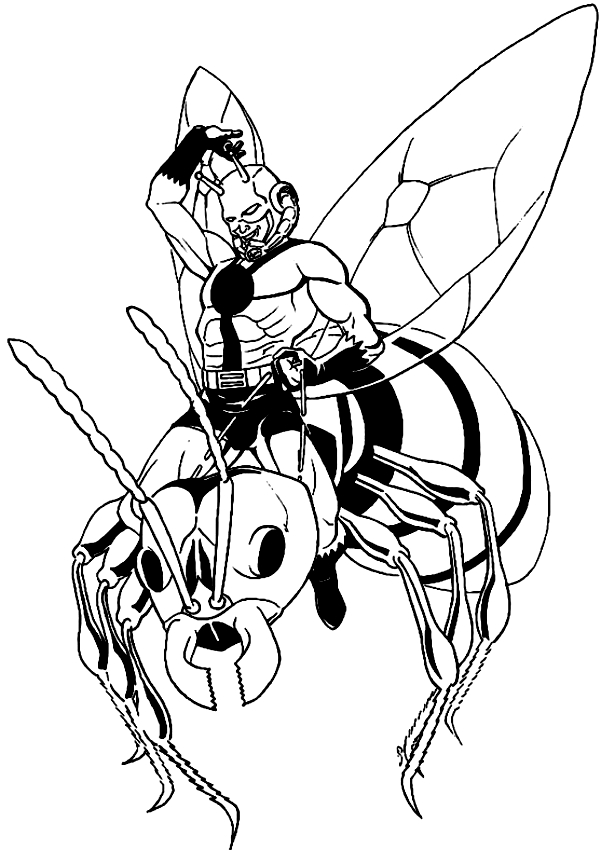 Les coloriages de Ant-Man  cheval sur les gupes  imprimer et colorier