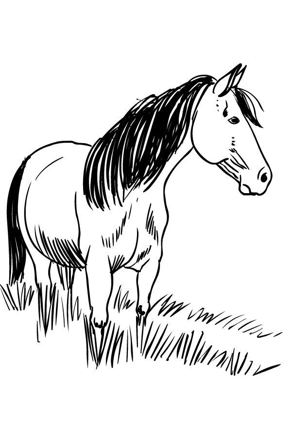 Coloriage de chevaux  imprimer et colorier