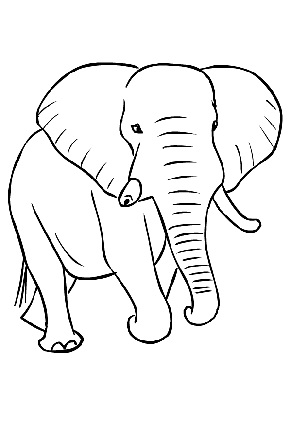 Coloriage de lphants  imprimer et colorier