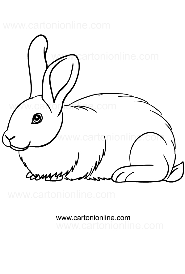 Coloriage de lapins  imprimer et colorier