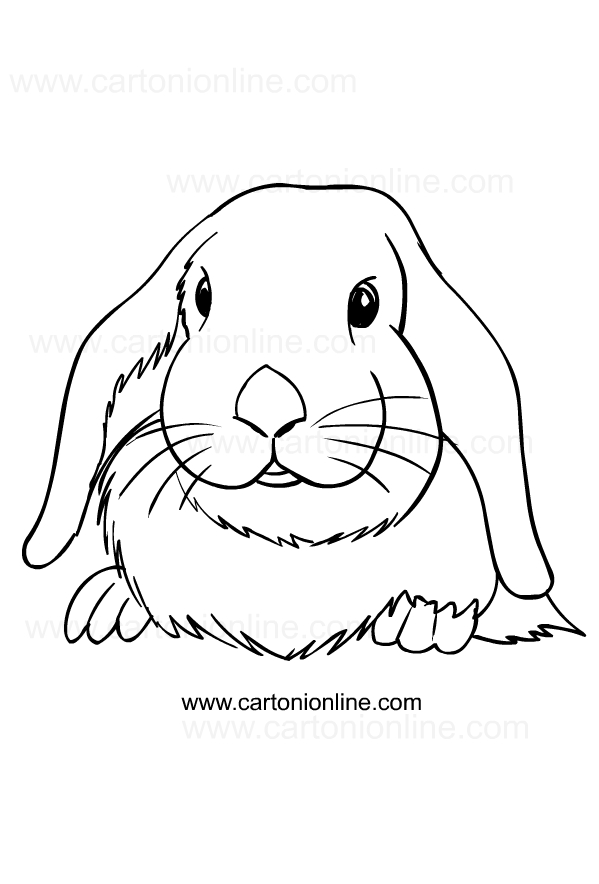 Coloriage de lapins  imprimer et colorier