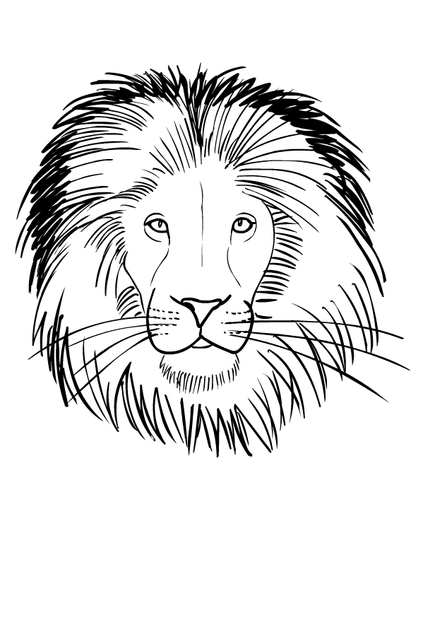 Coloriage de lions  imprimer et colorier