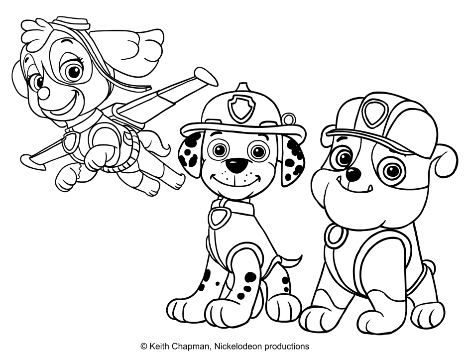 Dibujo  para colorear de Skye, Marshall e Rubble - Paw Patrol