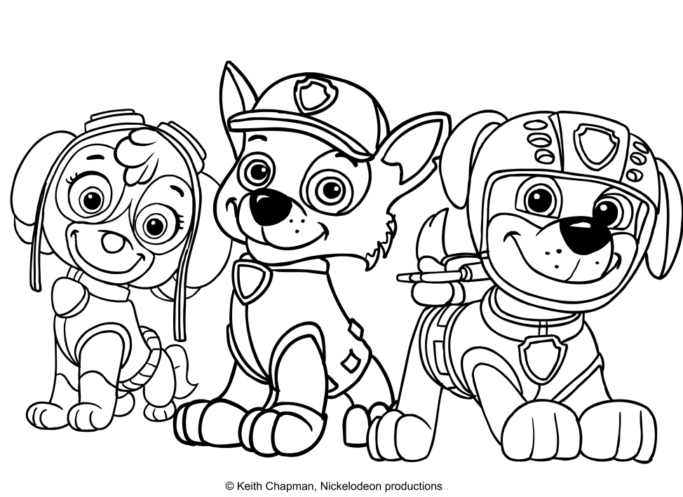 Dibujo  para colorear de Skye, Rocky e Zuma - Paw Patrol