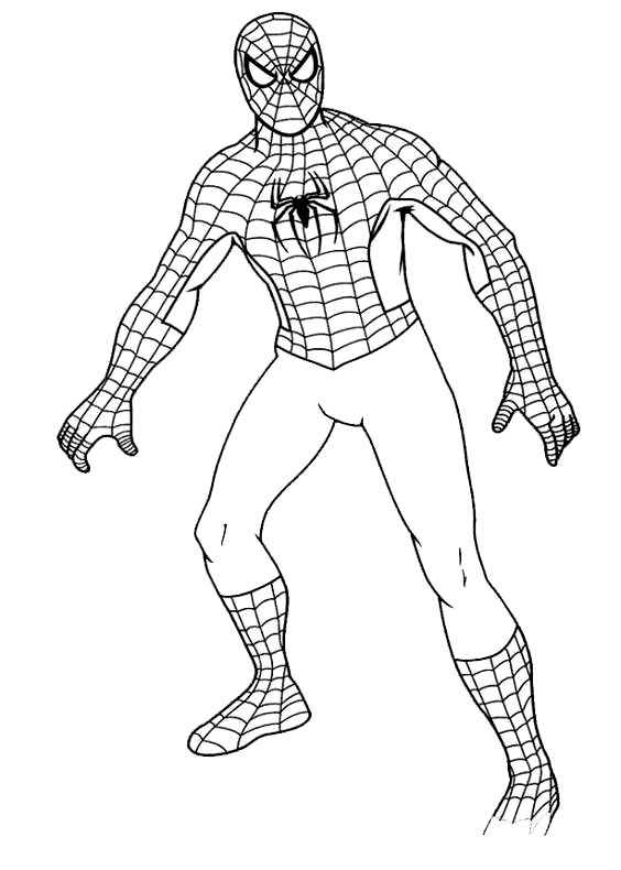 Dibujo de Spiderman a figura completa para imprimir y colorear 