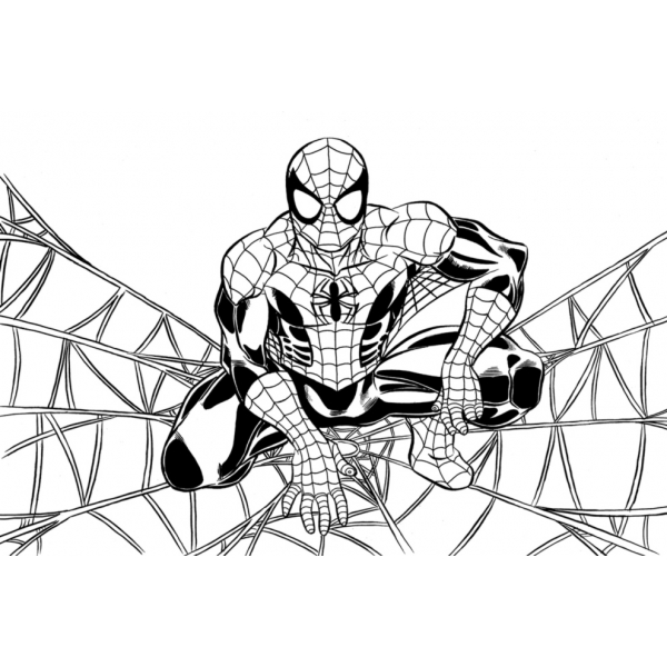 Dibujo de Spiderman sulla ragnatela para imprimir y colorear 