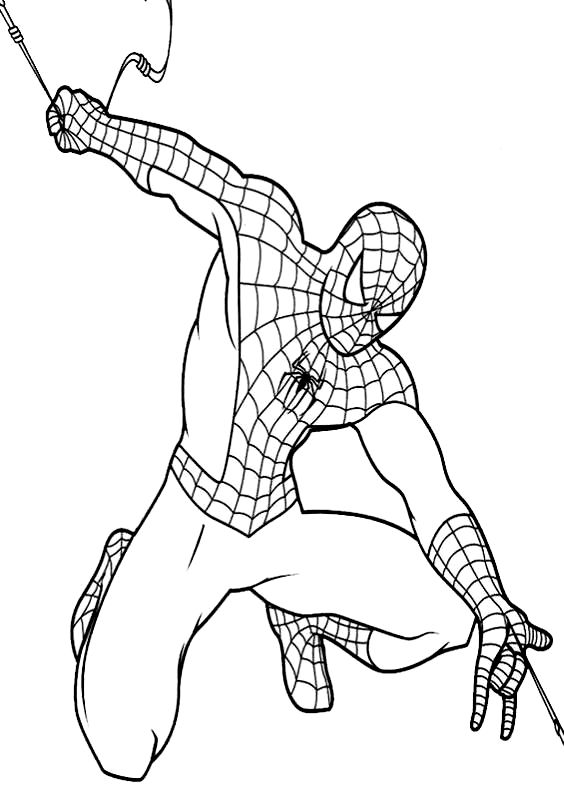 Dibujo de Spiderman sulla ragnatela para imprimir y colorear 