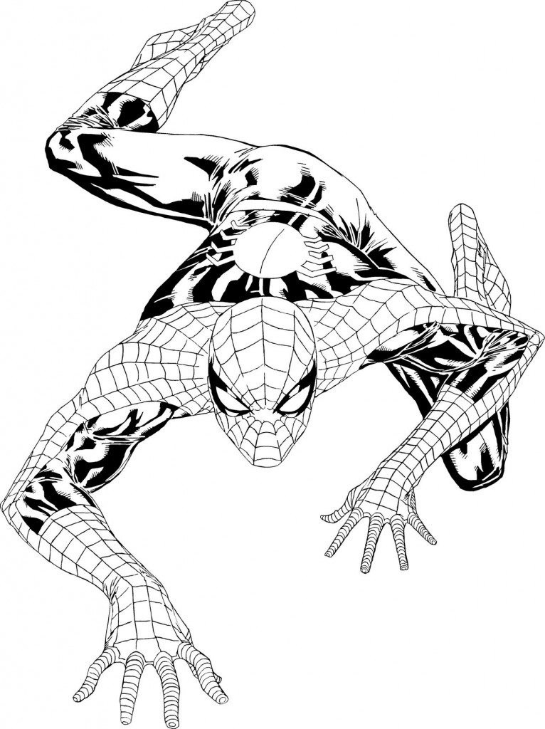 Dibujo de Spiderman que sube las paredes para imprimir y colorear 