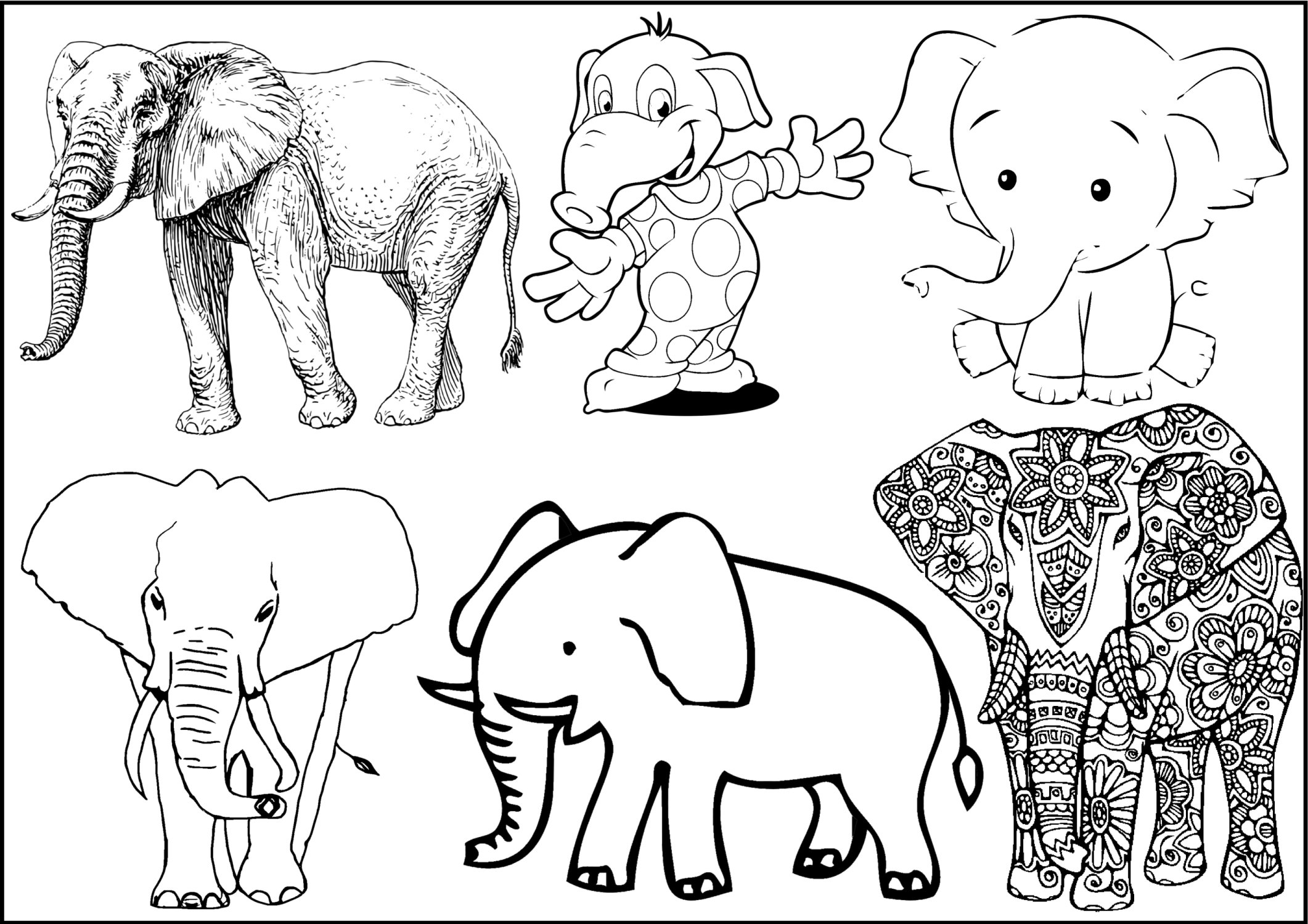 Disegni da colorare di elefanti