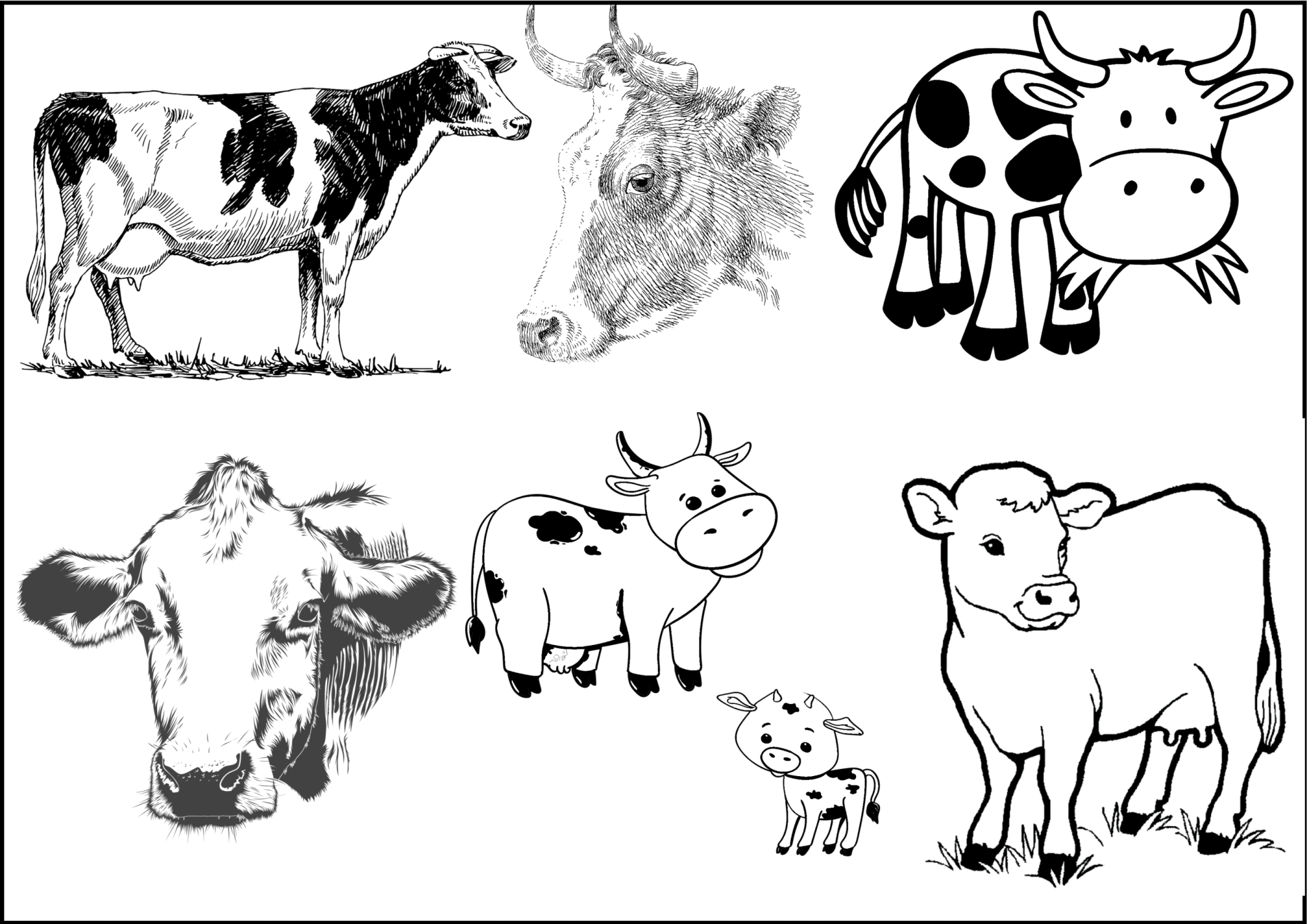 Disegni da colorare di mucche