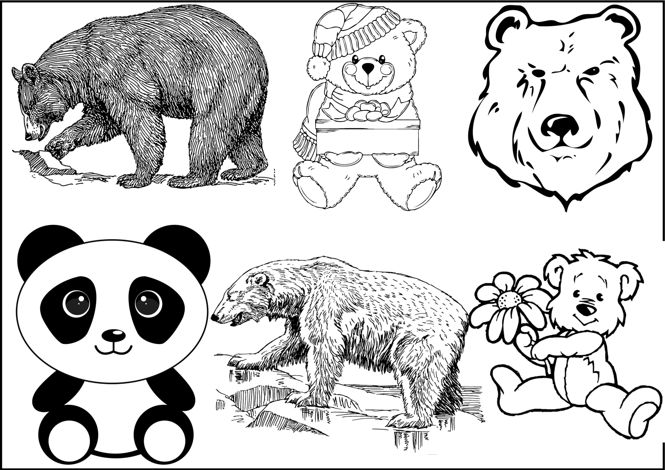 Disegni da colorare di orsi