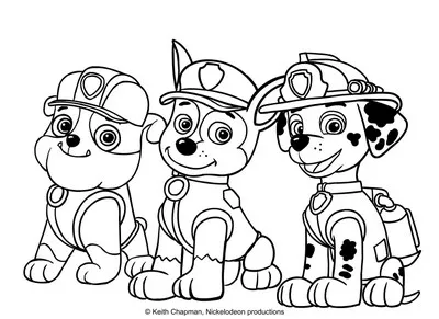 Disegni da colorare dei Paw Patrol