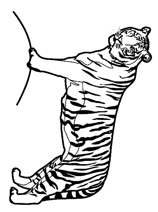 Disegno di tigri da stampare e colorare