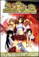 dvd Love Hina