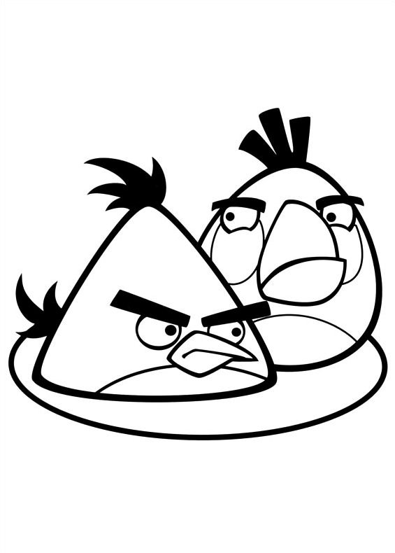 Drawing of Angry Birds to print and coloring