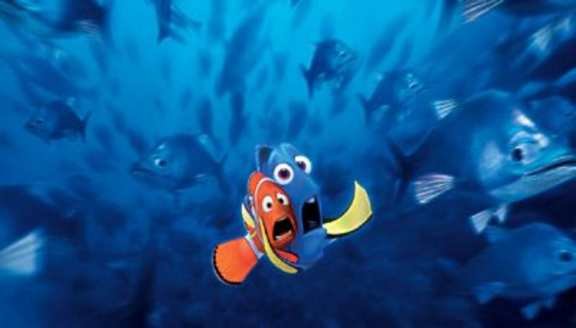 Immagini Alla ricerca di Nemo - Merlin e Dory terrorizzati