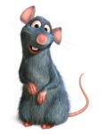 Ratatouille