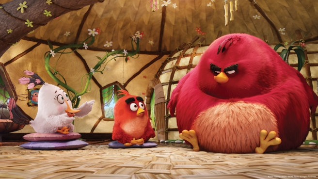 Matilda, Red e Terence al corso di controllo della rabbia - Angry Birds