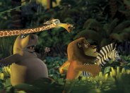 I protagonisti di Madagascar, scappano nella giungla