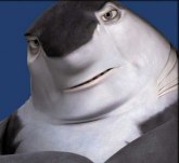 Immagini Shark Tale