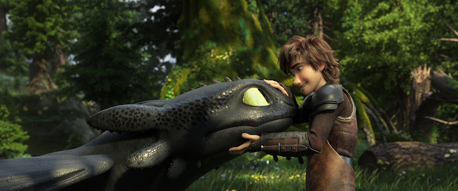 Hiccup Horrendous e il drago Sdentato