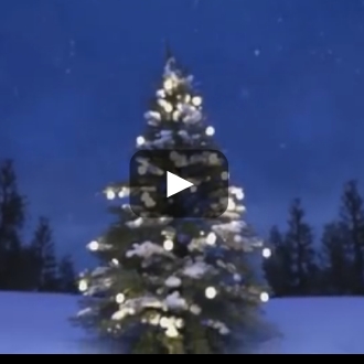 Christmas Stars - Stelle di Natale - cortometraggio animato